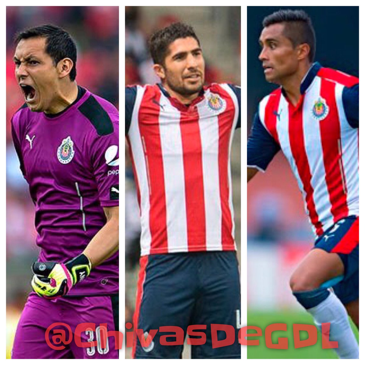 Estos tres Rojiblancos merecían un llamado a la Selección Mexicana 🇦🇹🇲🇽 Y tal vez "Chapo" y Pizarro también. ¿Opinas lo mismo?