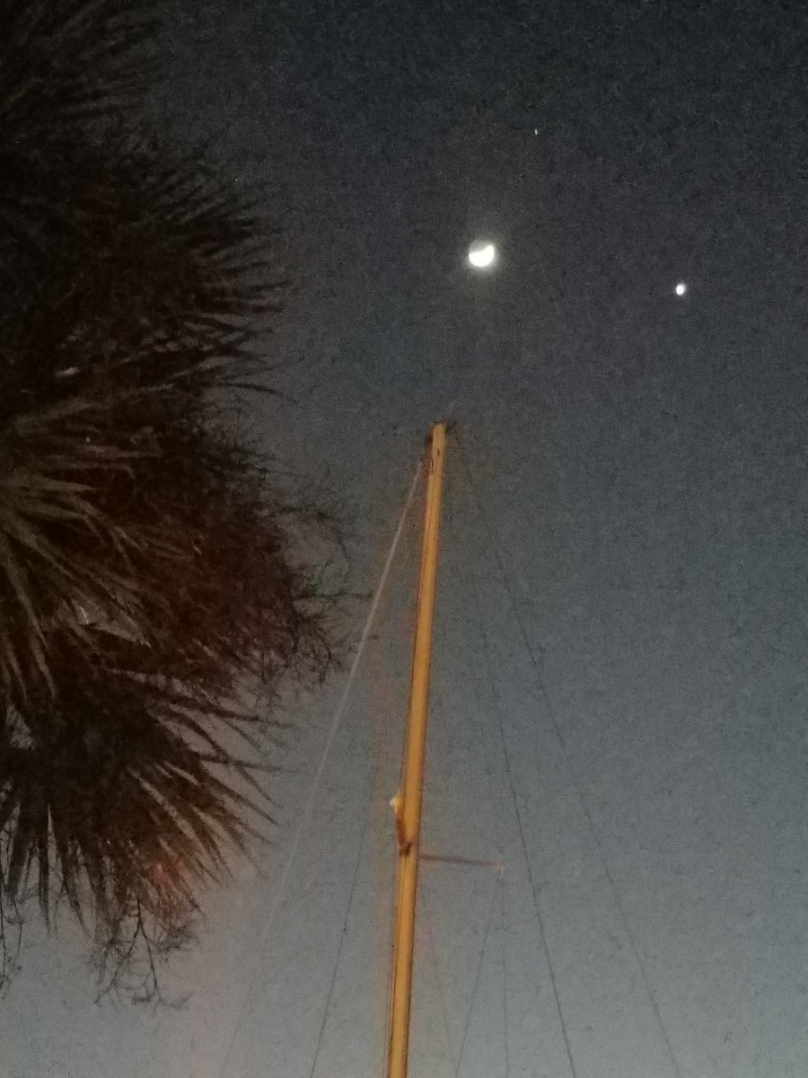 jesCompSci's tweet image. Mars Venus and the moon shining bright tonoight!