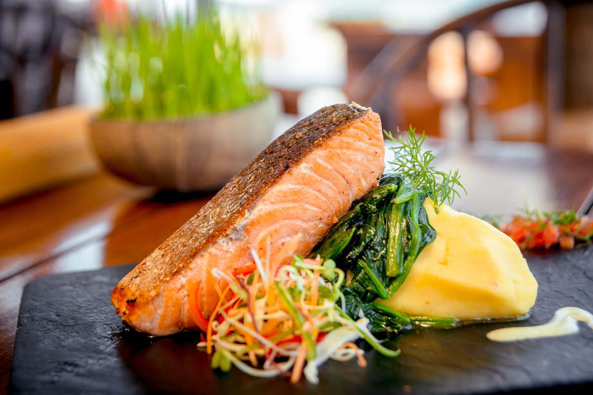 CORPhotelgroup's tweet photo. Does it make you hungry? Come over to Mood restaurant to enjoy this delicious Salmon with Vegetables🍱
#HMH #HappyHMH #CorpHotels https://t.co/RLIILdJxHM