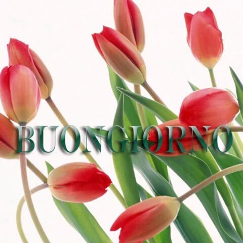 Guadalupe (@adasamper44) on Twitter photo 