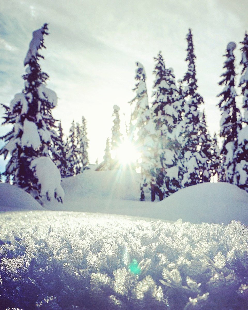 WCoastDiscover's tweet photo. Journeyman Lodge in the Solitude Valley provided an awesome weekend of exploring the Callaghan by sled, ski &amp; snowshow @gowhistler @hellobc https://t.co/gBVpd28cYY