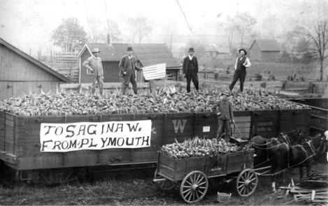 MichiganHist's tweet photo. Loading sugar beets on to a train at Plymouth - 1918
https://t.co/UK4kytlRnG
#PlymouthMI https://t.co/VPrGw4NaaN