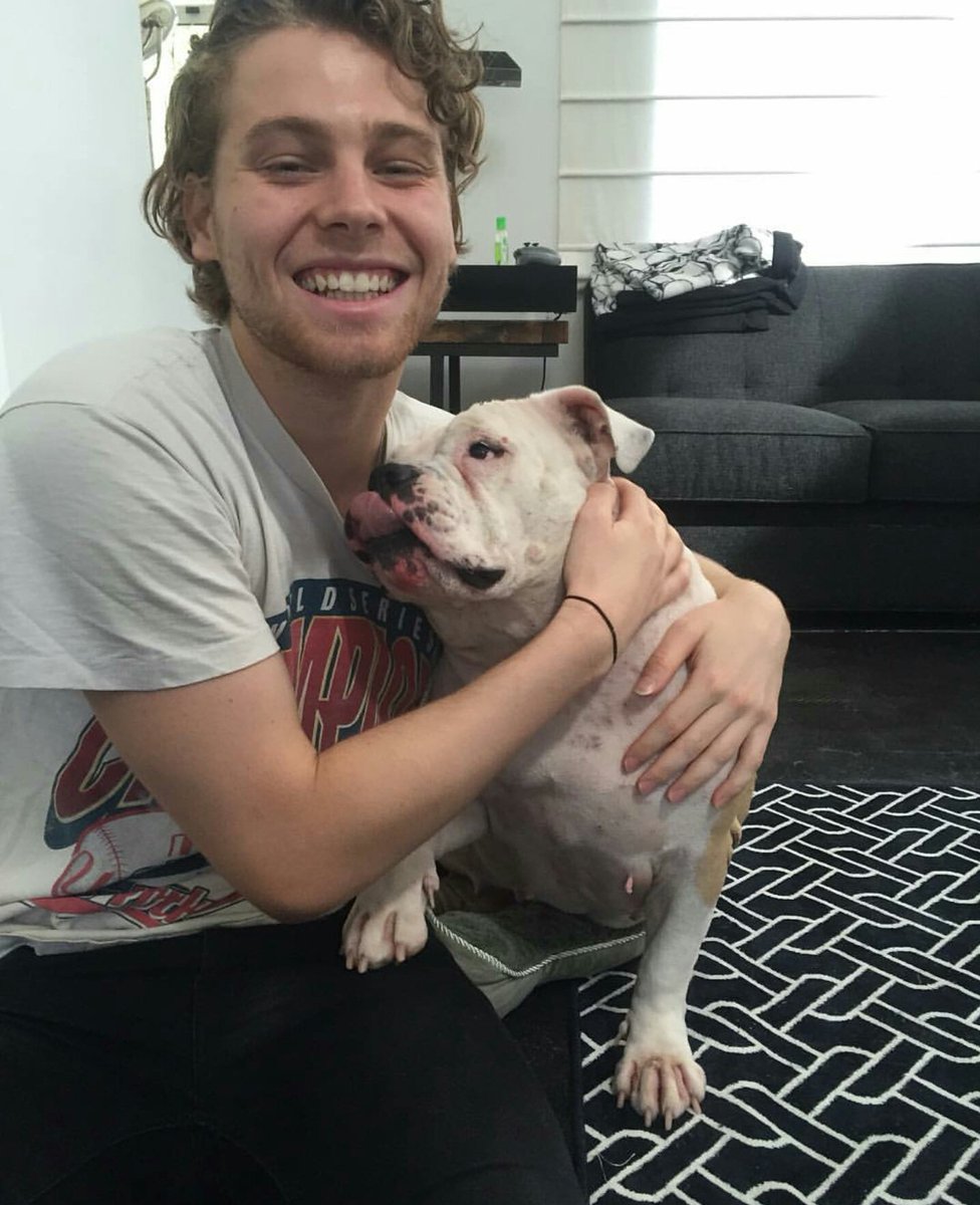 CelebMix5SOS's tweet photo. Adorable! ❤❤❤ @Luke5SOS https://t.co/t2ceWWzArG