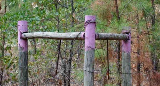 TXOutdoorRepub's tweet photo. If You See Purple Paint on Posts and Trees in Texas, What Do You Do? - https://t.co/uTLce1trox https://t.co/UbiuOVa1In