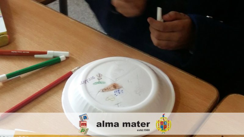 amschool80's tweet photo. K4 students did a craft on “phases of flowering plant” in science class using paper plates. https://t.co/fRqIvTU3KF