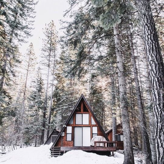 coffee_n_mtns's tweet photo. My idea of the perfect morning https://t.co/Iw9MZHpNCg