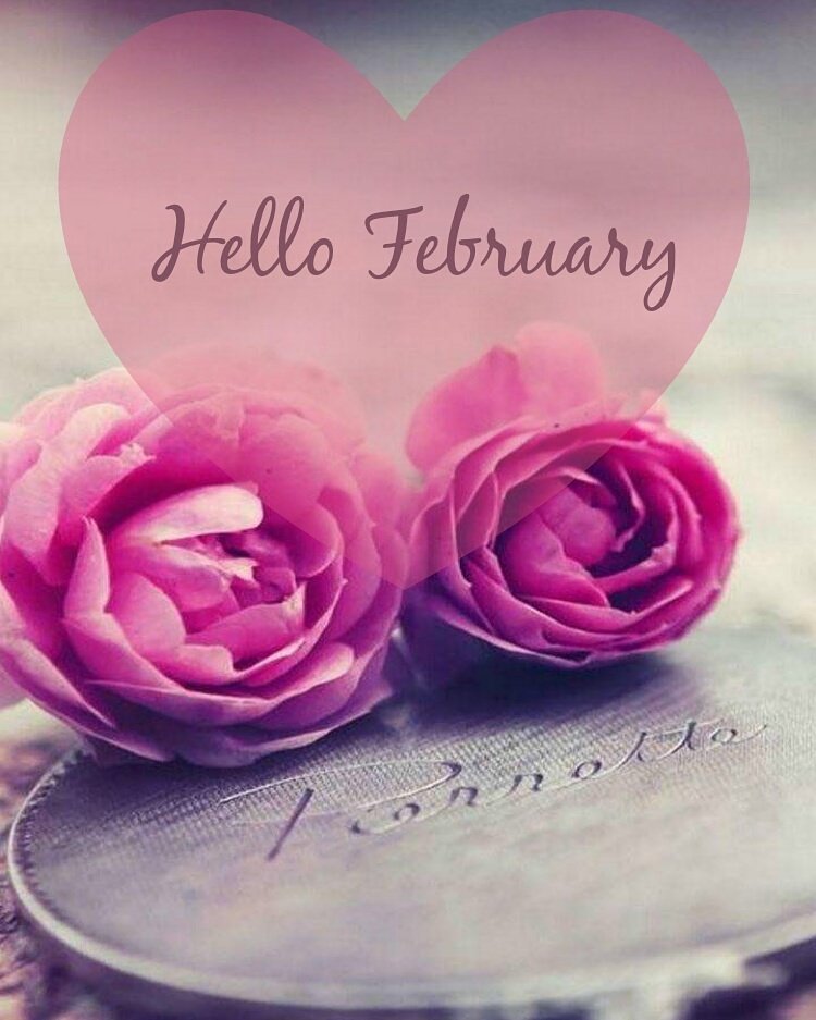 MagsW37's tweet photo. Busy January and more to come in February #wedontstop #workhard #playhard #enjoylife #beyou #February #love #fun #friends #beyourbest https://t.co/z7EcRCB7tO