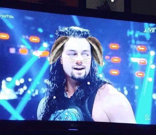 jacki_tate's tweet photo. @WWERomanReigns you did the best a bunny could at the #RoyalRumble #sotough #bunniesofwwe https://t.co/lZhJWbA2rh