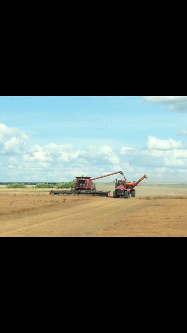 Jim Latrace tweet media