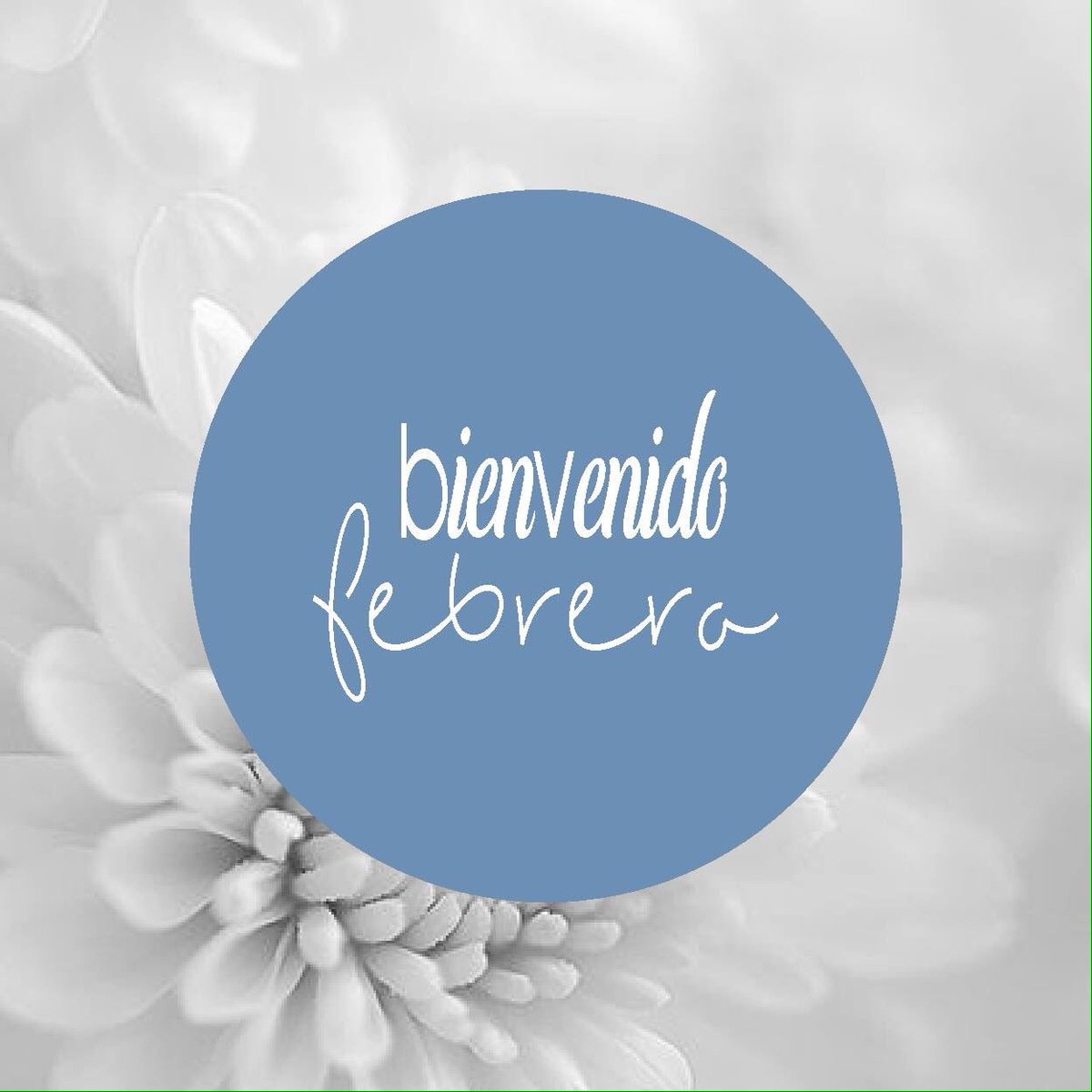 ChicandFit_'s tweet photo. #BienvenidoFebrero https://t.co/CmBWi63epc