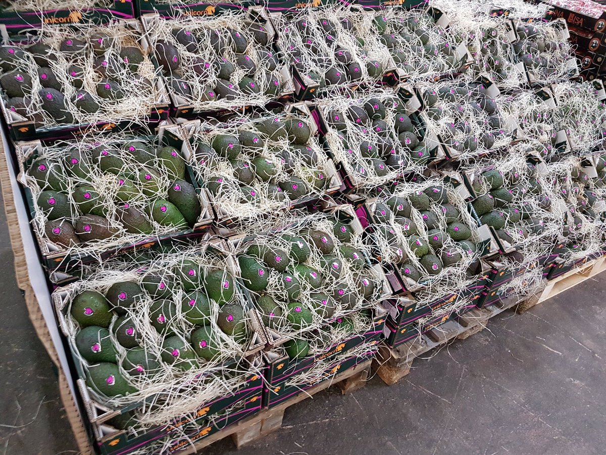 Nos avocats #unicorn