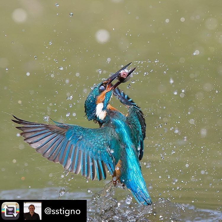 igers_Ferrara's tweet photo. Oggi ripostiamo: @sstigno Selezionatore: @veruv -
Admin: @skynet70 -
hashtag #igersferrara
Luogo: valli di Argent⦠https://t.co/gdbUp66xqp