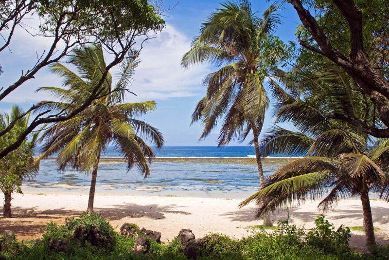 silverbirdtours's tweet photo. The coastline south of Mombasa is a tropical paradise of palm fringed white sand beaches https://t.co/QUn6urrgeU #SampleKenya #ThisismyKenya https://t.co/N2d1aq4Etx
