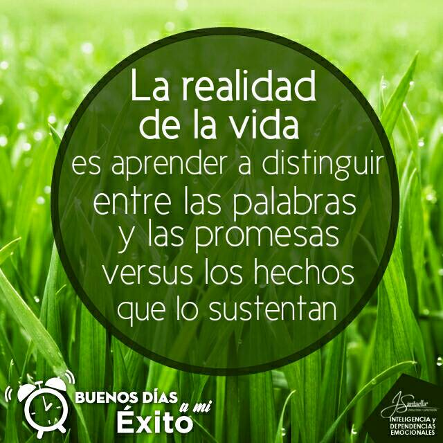 La realidad de la vida es aprender a distinguir entre las palabras y las promesas. #BuenosDiasaMiExito #Coachingdeexito