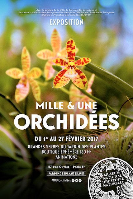 TravelVieaMag's tweet photo. L'expo “Mille &amp; une orchidées” de retour au Jardin des Plantes jusqu'au 27 février @Le_Museum #Milleetuneorchidées https://t.co/bYhYxZoIAU https://t.co/zt9KfbXIaX