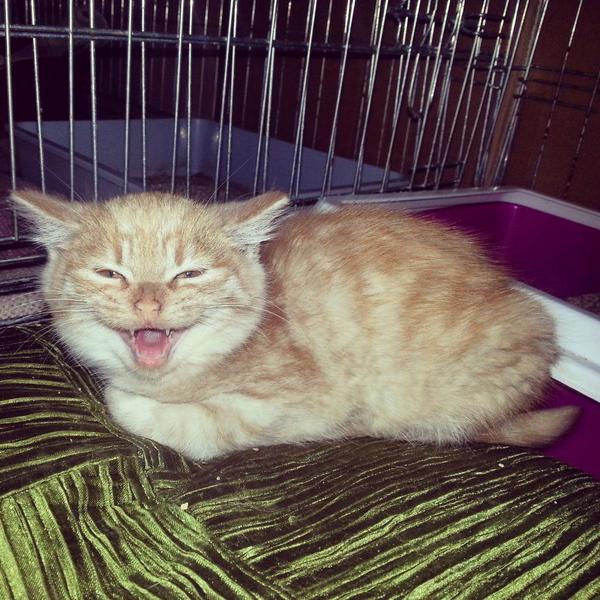 DAUDZ LAIMES TREŠAJĀ DZIMŠANAS DIENĀ MUMS!