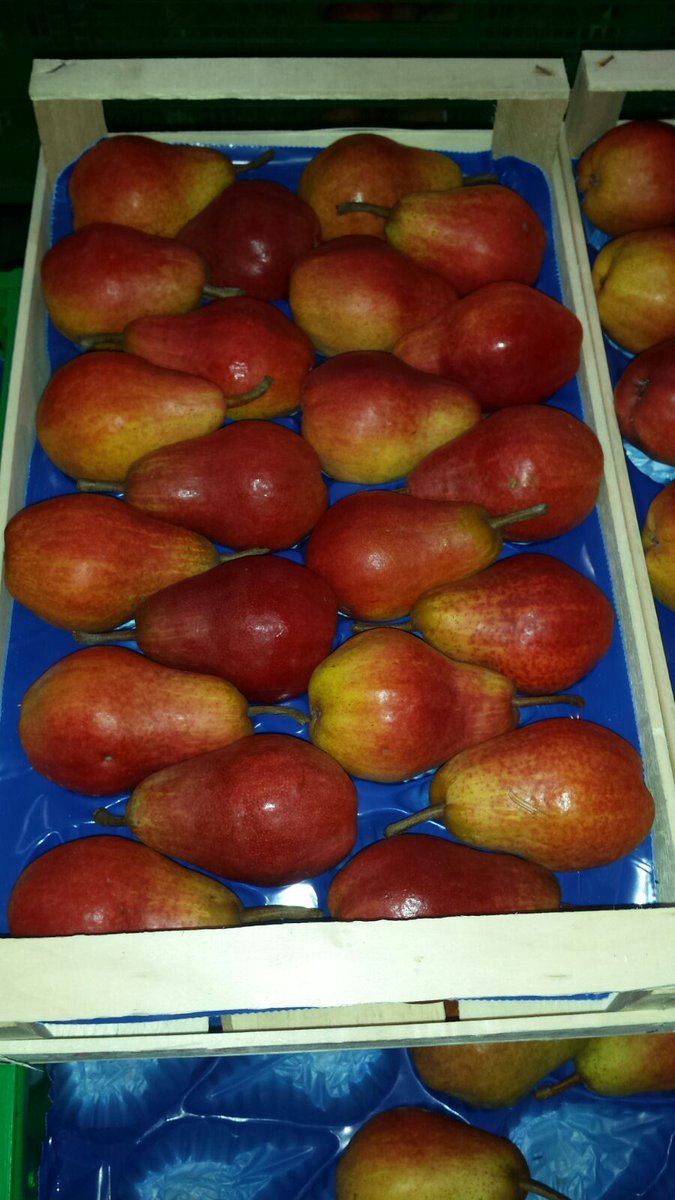 peruzzosarl1's tweet photo. #PoireWilliamsRouge extra ! #Peruzzo #Italia #FruitLogistica #PassionForFood
Contact Lucas : +33 6 76 00 10 04 https://t.co/TiSI4GeSQS