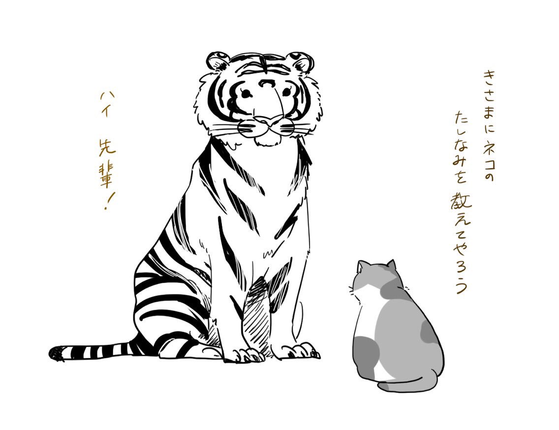 あけまして ねこはじめ もふもふ Togetter