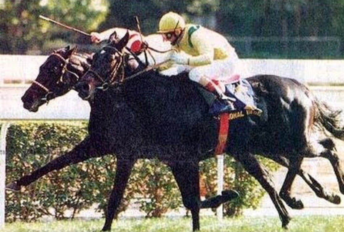 San Sebastian Racing tweet media