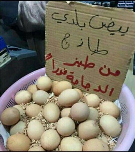 صقر السعودية (@shjfssd68955) on Twitter photo 