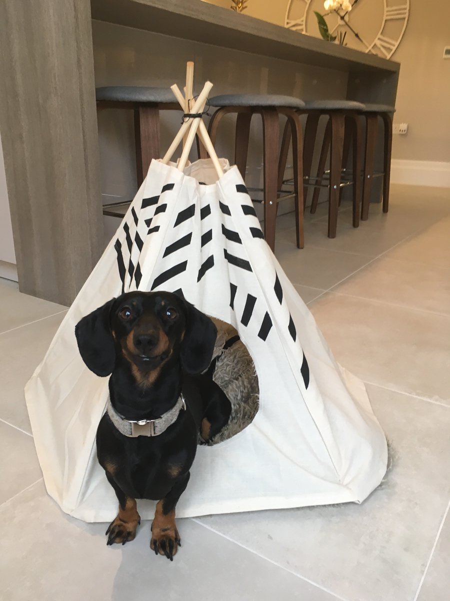 ChartersEstateA's tweet photo. #woofwoofwednesday
Baby 'Bear' got a new home too! #dogteepee
Look at that smile!
#propertyhants @WoofWoofNetwork @rightmove @OnTheMarketCom https://t.co/NfNnkK1iG5