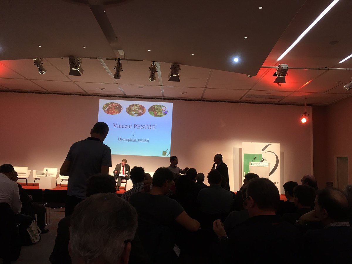 AgenceRDN's tweet photo. Congrès @FNPFruits @AgenceRDN drosophila suzukii  est un problème multiespeces raisin, Legumes donc pas que #cerise. https://t.co/TjJzU40zpY