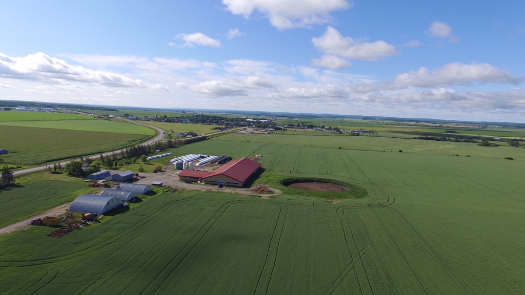 Lee Laframboise tweet media