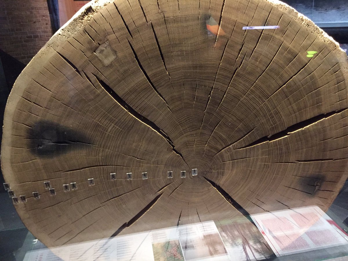 Mink_ED's tweet photo. Humanities in Nature: scorch mark in 250 yr old tree puts WWI in perspective @NatlHumanities @The_History_Man https://t.co/kGihq62AXW