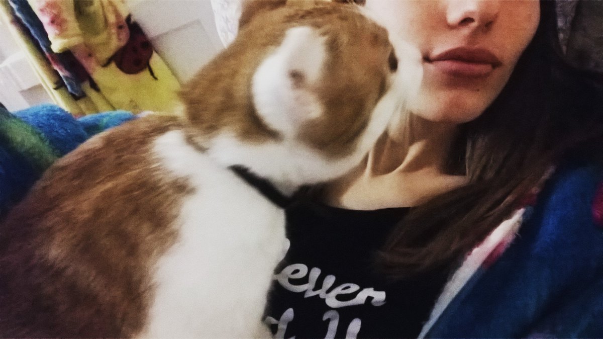 цаловаться лезет😻😽😼