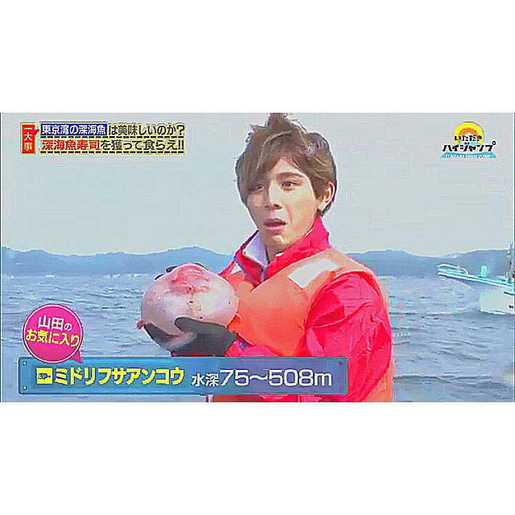 jamp_cibes's tweet image. JUMP専用の垢作ったのでお友達探し😻

○Hey! Say! JUMP

○山田君よりのall担

○同担拒否❌

○とびっ子さんと繋がりたい

#わーーーージャニオタさんと繋がるお時間がまいりましたいっぱい繋がりましょ 
#RTした人全員フォローする