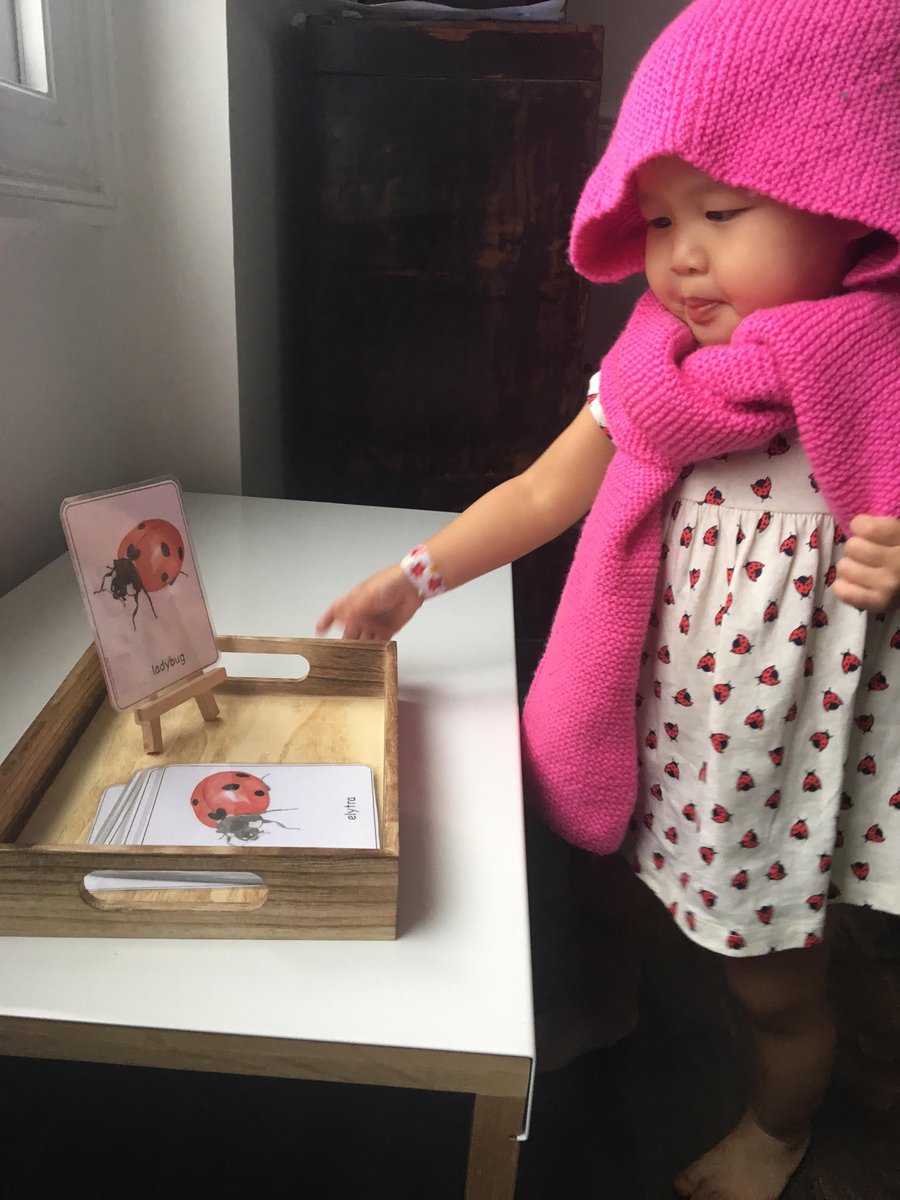 We love this sweet picture from Three Minute Montessori featuring our Parts of a Ladybug! Thank you so much for sharing Jasmine!