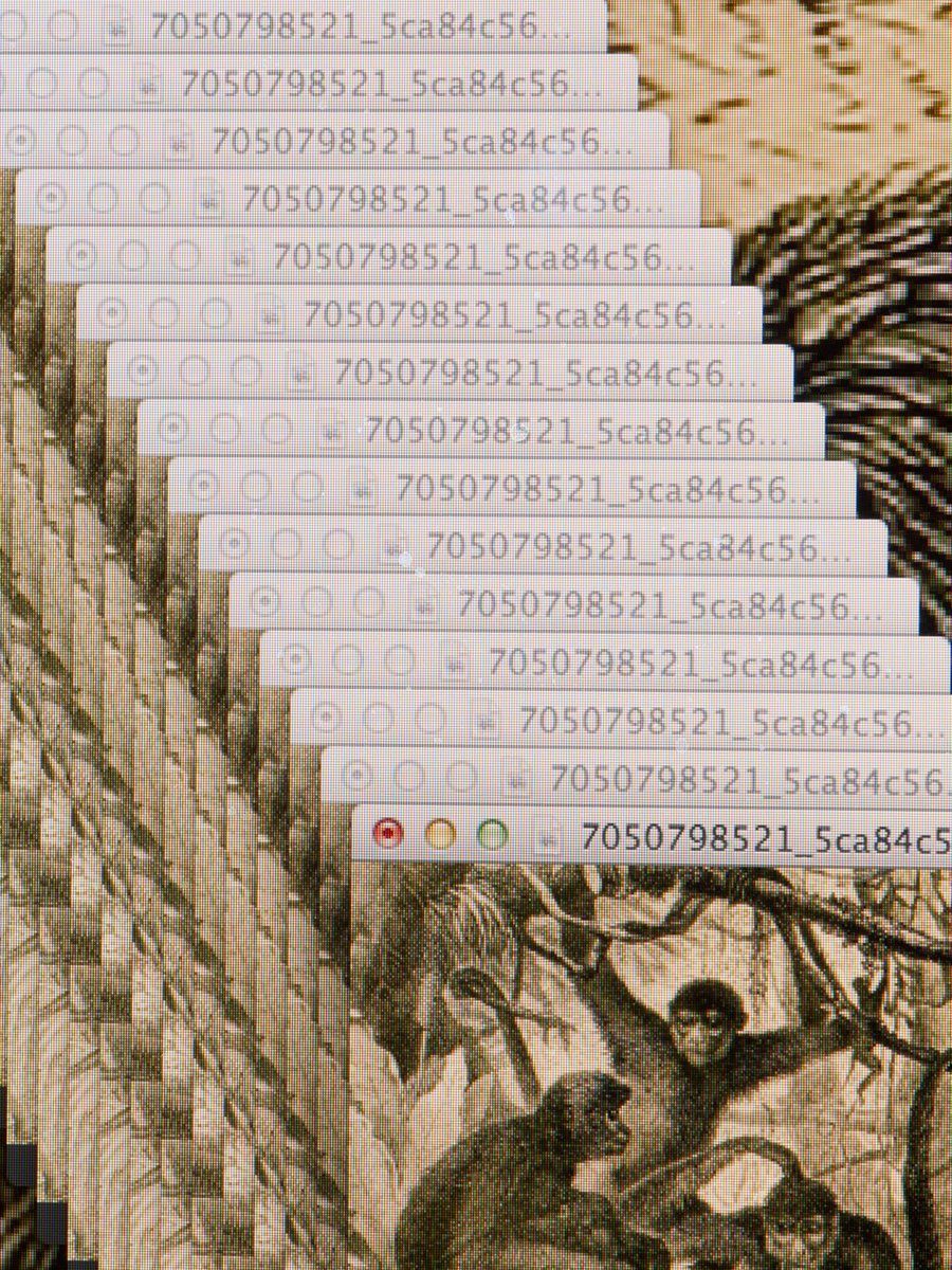 1000 Words tweet media