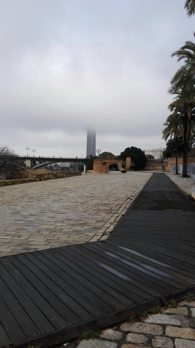 Torre Sevilla tweet media