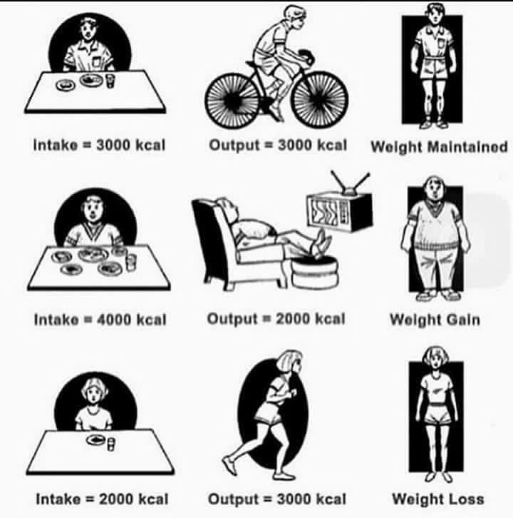 KitMercerPT's tweet photo. Energy balance simplified for week 2 of Pure Loser! @puregymWN https://t.co/zxItrujAGb