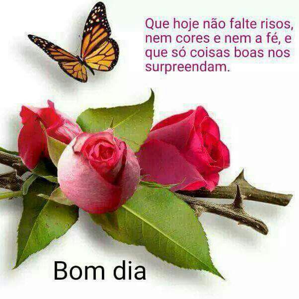 #BetaAjudaBeta <a href="/JorgeMacedo1973/">J Macedo !</a> @DarleyR250 @waldirjesuswj @TatiannaAntunes <a href="/fabioscamara/">Fábio Câmara</a> <a href="/emersoncrew/">Palmeiras</a> <a href="/marionni3/">marionni</a>