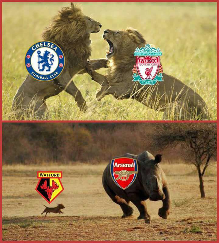 MwanaFA's tweet image. Otea,huyu anayekimbizwa ni Faru Joni au Faru Khadija??ya hao masimba achana nayo,imejiweka bahati mbaya tu hapo