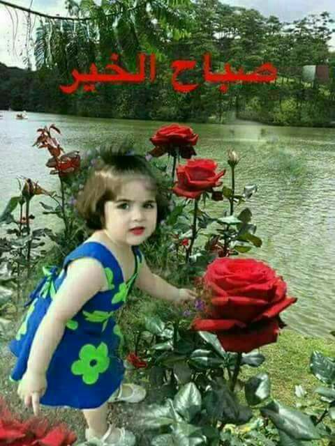 Ali Fouad (@alifoua09476367) on Twitter photo 