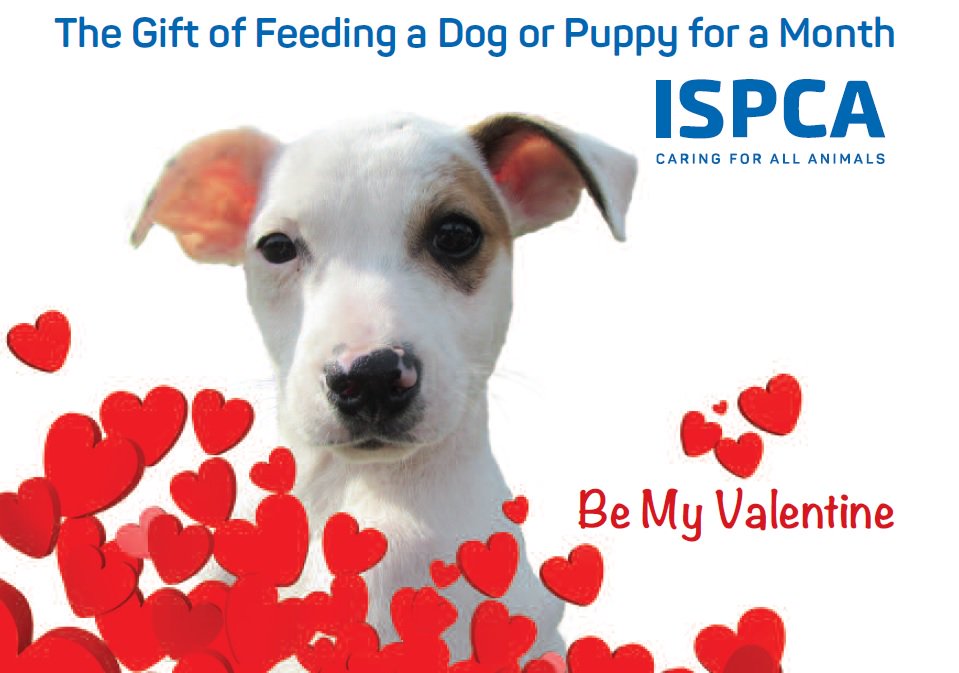 Happy #ValentinesDay everyone! You can still order a Thoughful Gift for loved ones as an E-card with delivery today! bit.ly/1QppAsZ