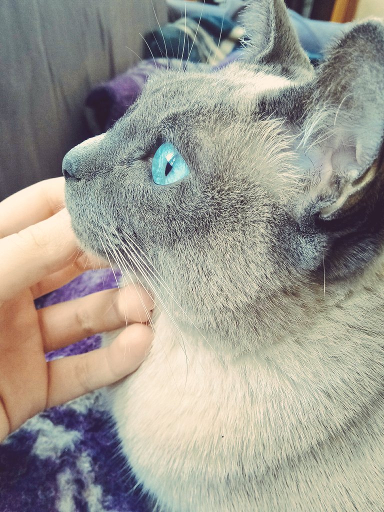 o zaman günaydınnn