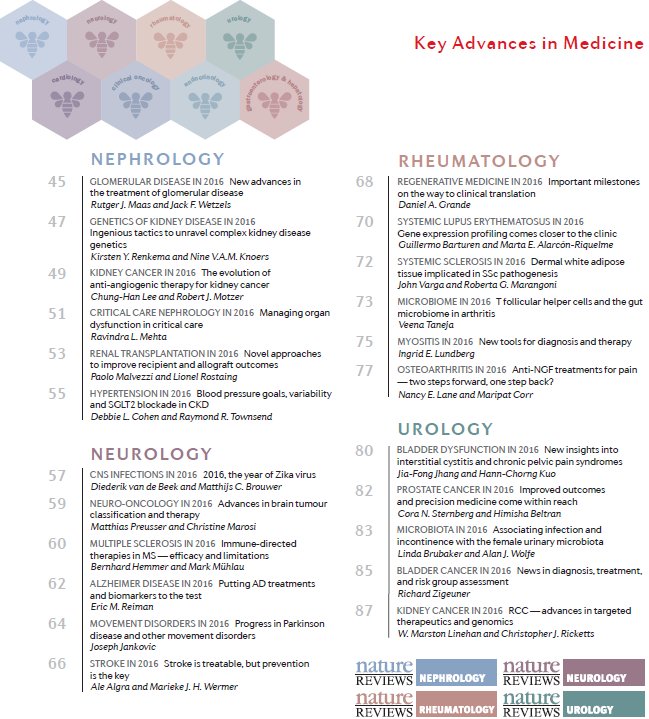 dialogues on difference studies of