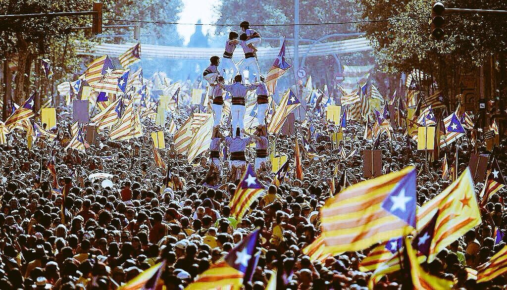 Ali Hussen (@alih24677480) on Twitter photo 