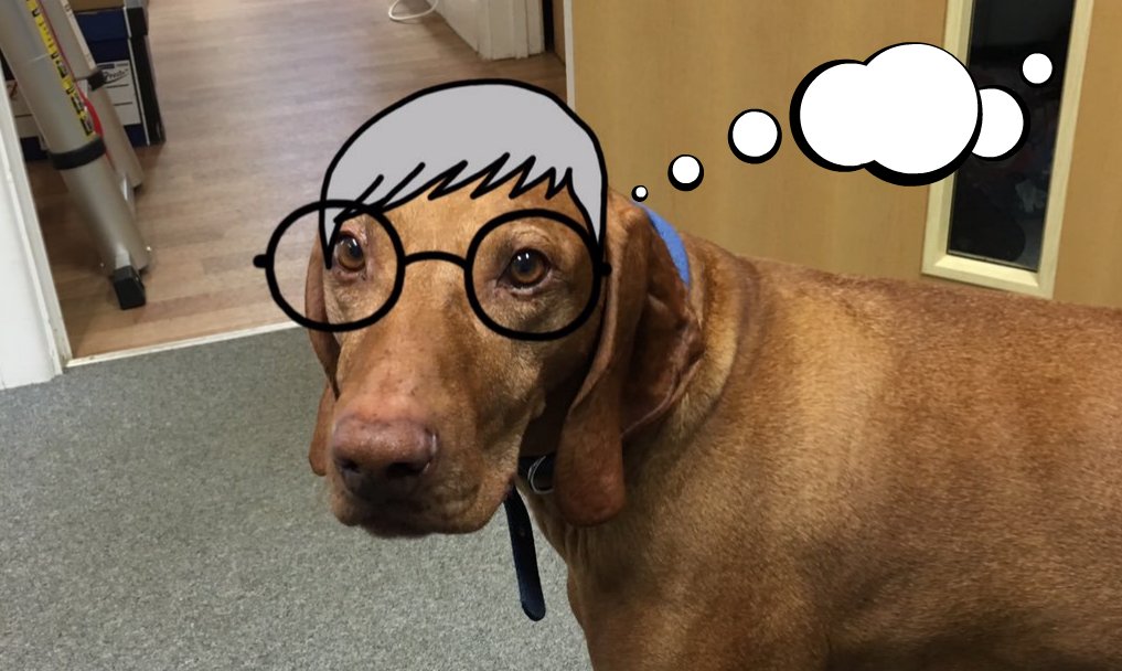 SmartLittleWeb's tweet image. One unusual reason you might not be getting website traffic - EVEN if you rank on Google ow.ly/ge5Q308z0MT #WednesdayWisdom