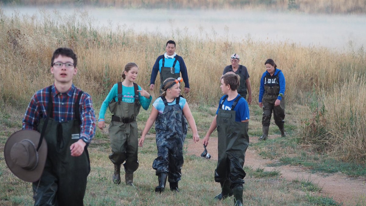 Waders for all when looking for waders #swampfashion #onamission #lathamssnipe #mistnetting #conservation #youngrangers