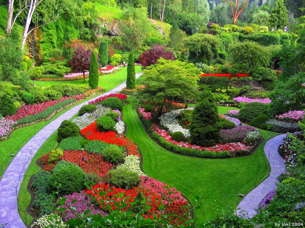Tips to keep your garden neat &amp; tidy thebonniegardener.co.uk/2017/02/01/tip…