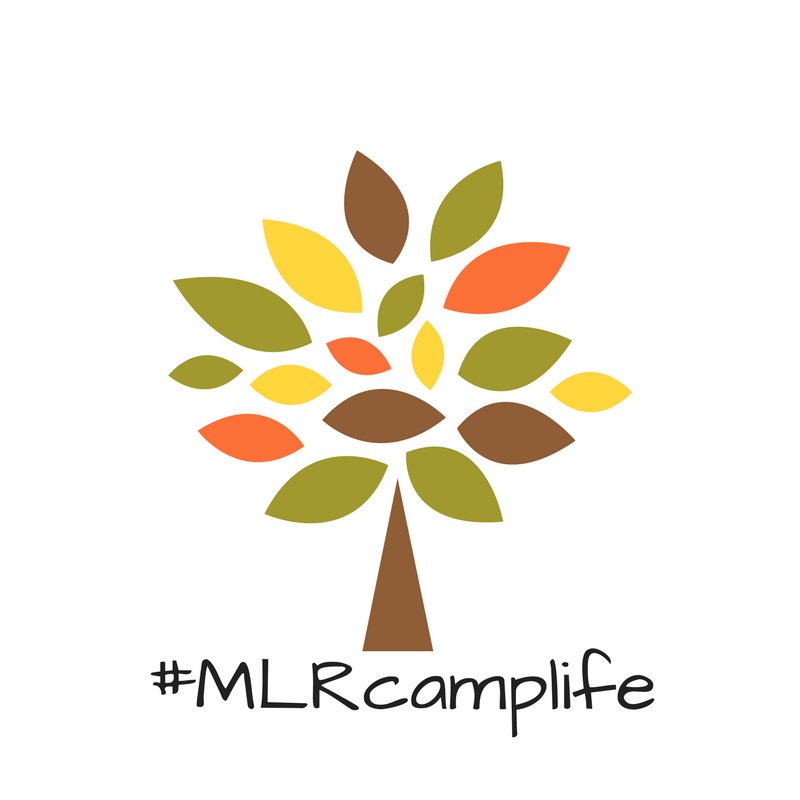 February is I <3 Camp Month! Help us celebrate by taking a picture with this picture &amp; use the hashtag #MLRcamplife mar-lu-ridge.org