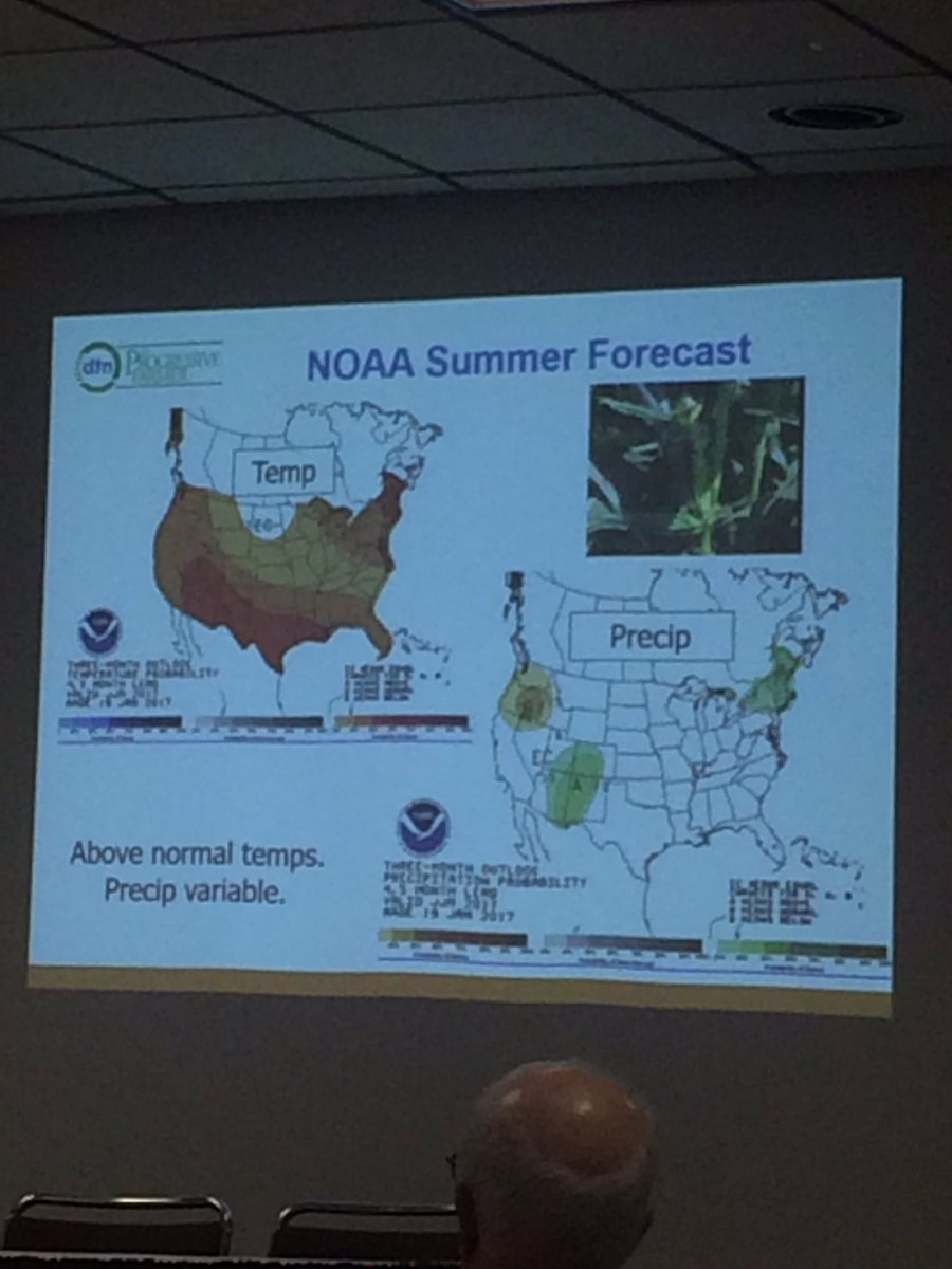 ChadwithBecks's tweet photo. Summer '17 NOAA forecast. Midwest USA - ⬆️Temp + ↔️Precip. .@BAndersonDTN #IowaChapter .@ASFMRA https://t.co/zFRuzvocvk