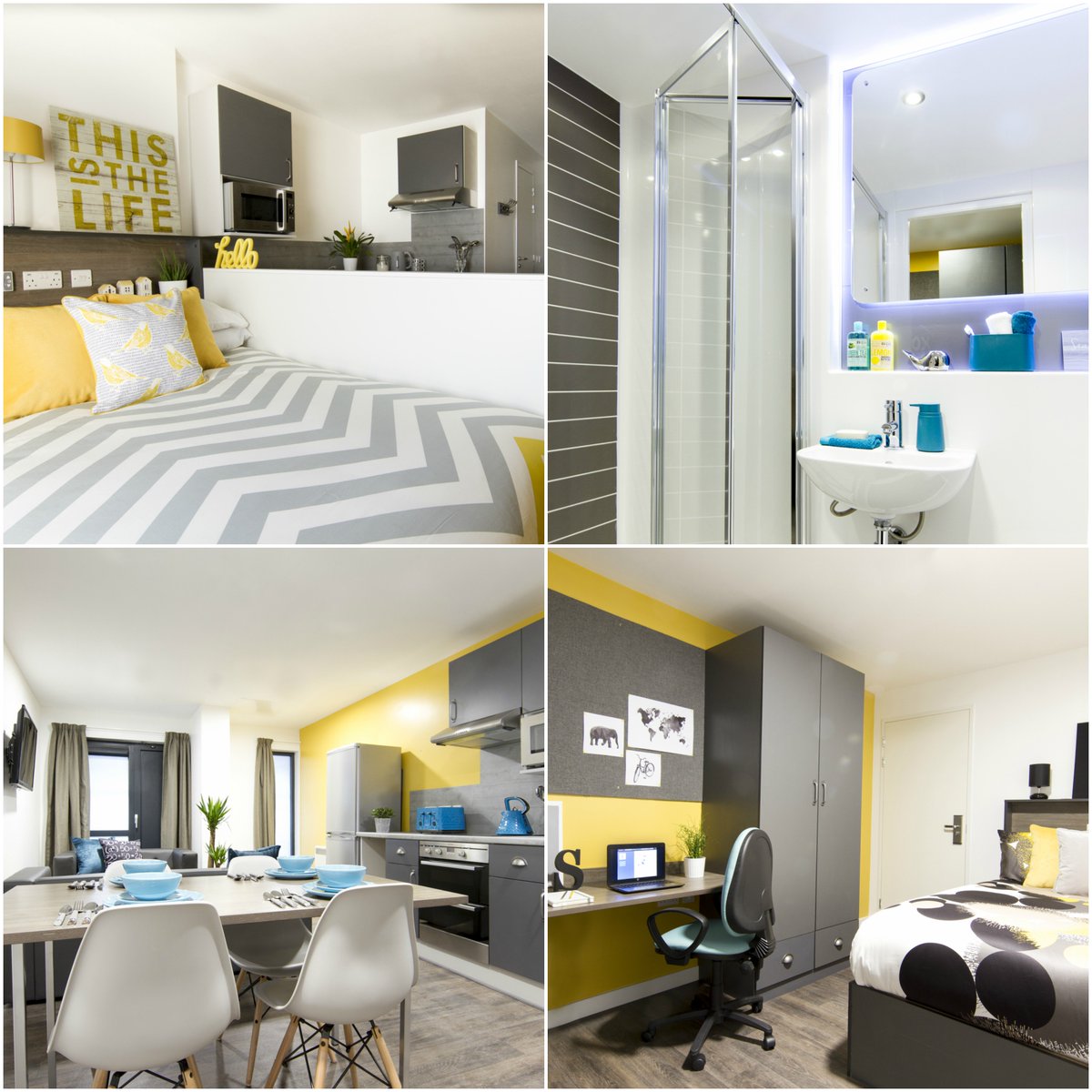 comelivewithus's tweet photo. Check out the latest photos of #BeckleyPoint #Plymouth &amp; pop in, we'd love to meet you: https://t.co/jq4iUVV64n #Student #Flats https://t.co/FR47yypFhx