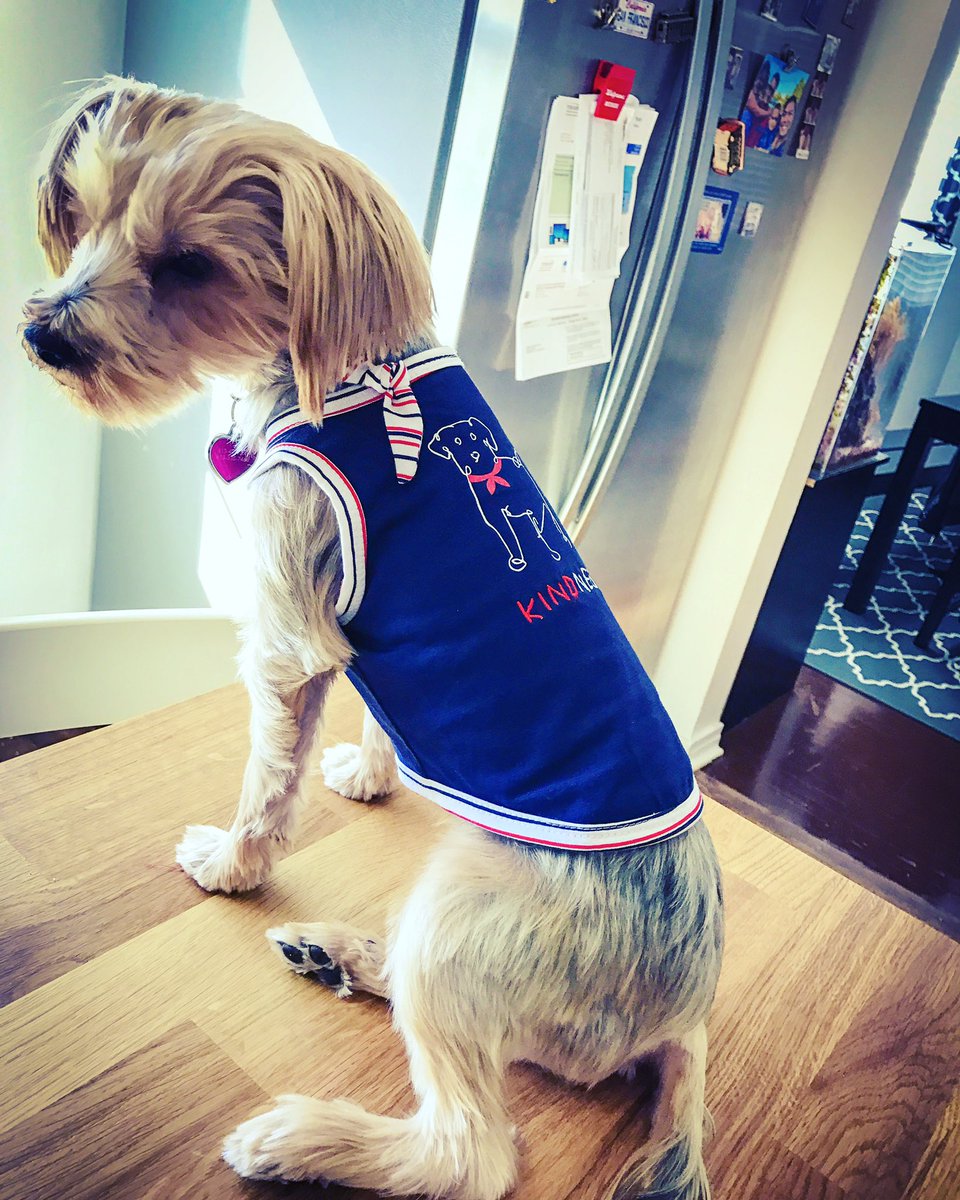 PetSmart0320's tweet photo. #EllenDeGeneres #petsmart #petfashion https://t.co/46oRthL82o