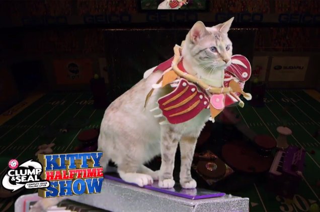 The #SuperBowl has Lady Gaga &amp; the #PuppyBowl halftime show has "Kitty Gaga" (watch a preview) blbrd.cm/KsQ8Mc