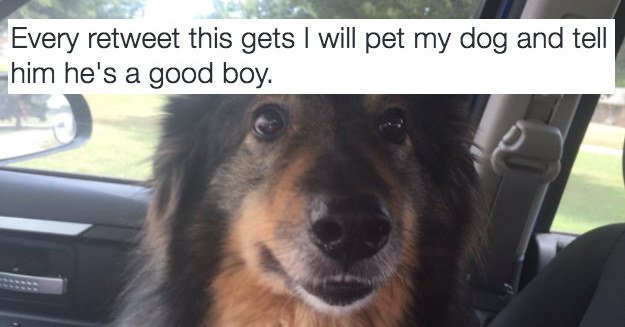 FoundrySimcoe's tweet image. Probably the best thing you will see all year... vsty.ca/2k9FA9C